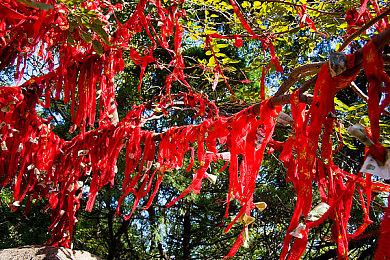 《夏目友人帐：叶月之记》明年6＆5推出 登陆NS＆PC