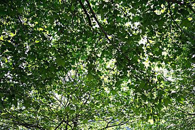 休闲种田游戏《舒舒服服小岛时光》Steam页面上线 支持简体中文